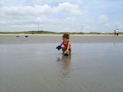 IMG 5136