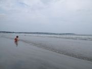 IMG 5174