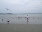 IMG 5175