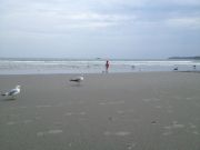 IMG 5179