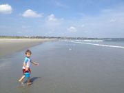 IMG 5181