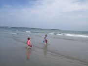 IMG 5185