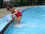 IMG 6084