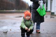 Саша в ожидании белки