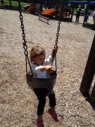 IMG 6989