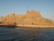 IMG 0419