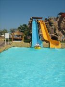 IMG 0479