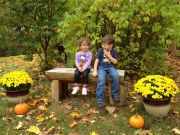 IMG 7853