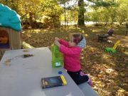 IMG 7910