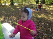IMG 7958