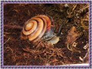DSCF4376 - 