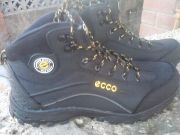  ECCO