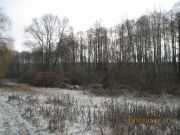 IMG 4897