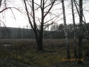 IMG 4906