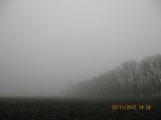 IMG 4916