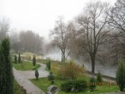 IMG 4920