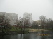 IMG 4969