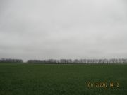 IMG 4987
