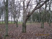 IMG 4991