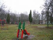 IMG 4995