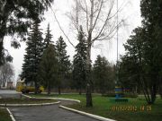 IMG 4994