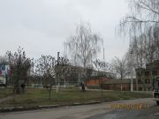 IMG 4999