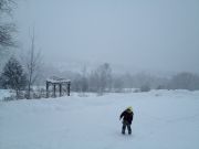 IMG 9934