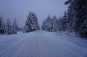 DSC00470