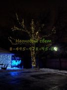 Клип-лайт желтый