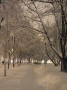 DSCF5031 - 