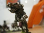 IMG 4330