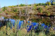 IMG 7158(2)