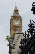 IMG 4164