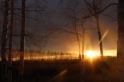 IMG 0676