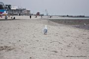 IMG 3022
