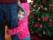 IMG 6219