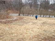 IMG 7431