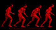 Trickster - - . Trickster - scientific and cognitive series.