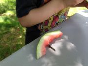 IMG 8754