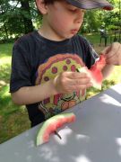 IMG 8759