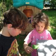 IMG 8775