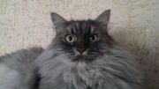 IMAG0225
