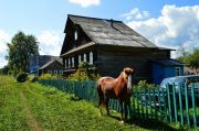 На деревенской улице