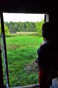 В лесной деревне
