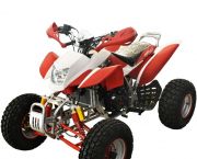 kvadrocikl-snegobolotokhod-irbis-atv250s-250-kub-sm-4-kh-takt