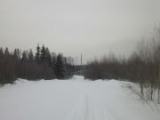 IMG00107