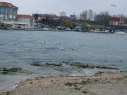 DSCF4767