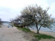 DSCF4768