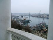 DSCF4781