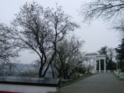 DSCF4782